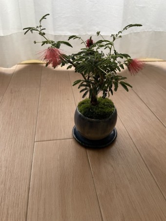 IMG_3175-e1716534025251